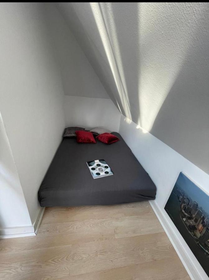 Apartmán Luxury Rooftop Loft With River View 10Min To City Düsseldorf Exteriér fotografie