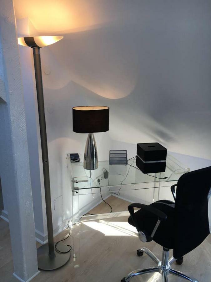 Apartmán Luxury Rooftop Loft With River View 10Min To City Düsseldorf Exteriér fotografie